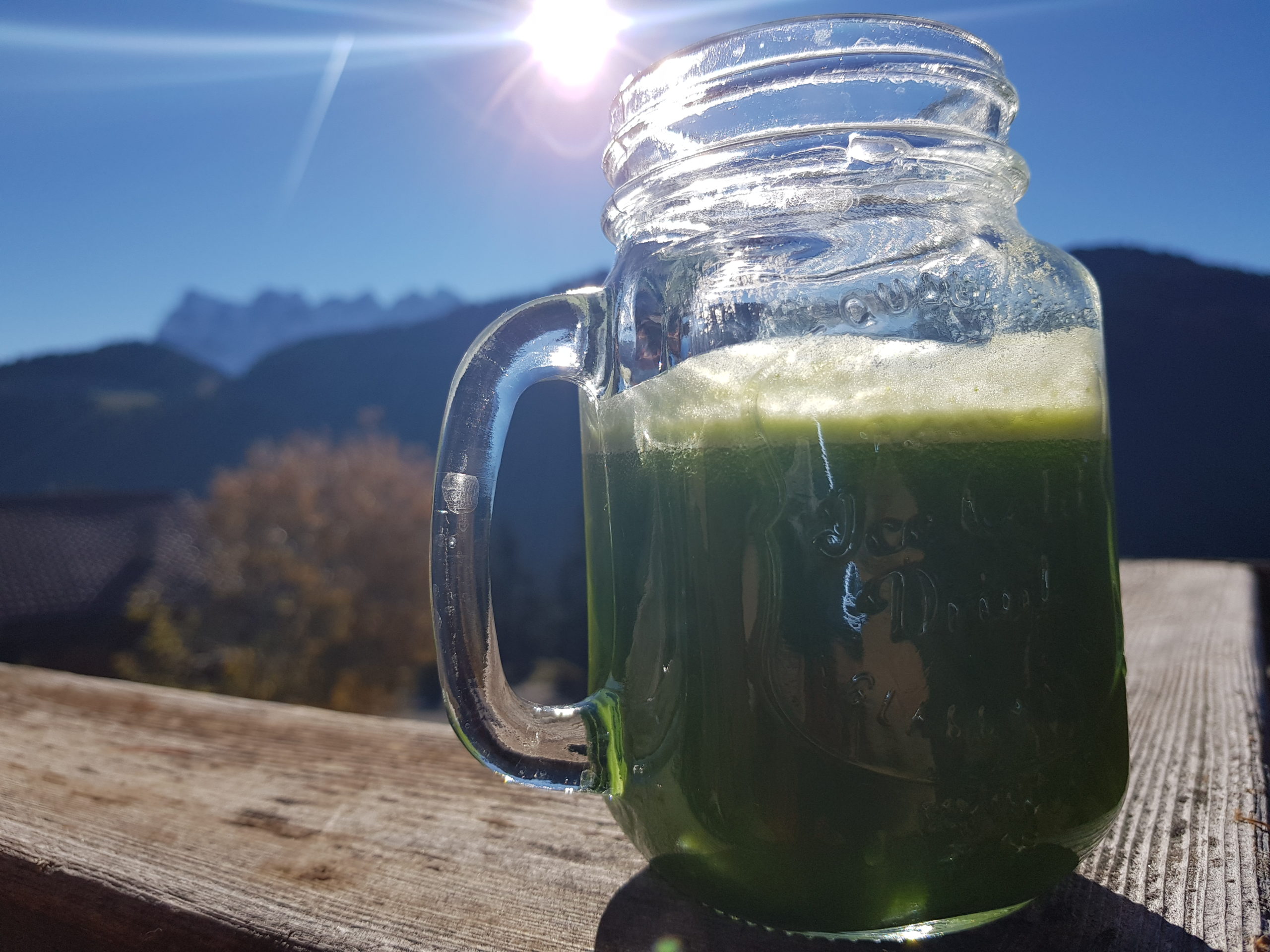 jeûne avec vue sur les Dents-du-Midi jeûne avec vue sur les Dents-du-Midi