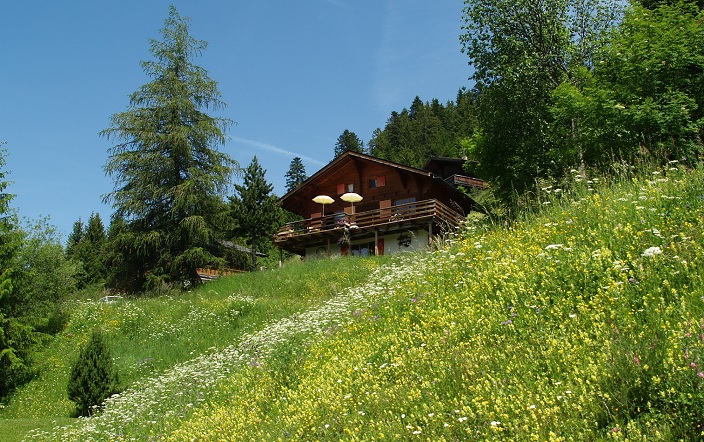 a peaceful place Jeûne et Nature à Morgins Valais
